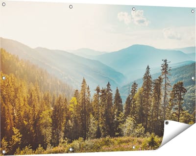 Gards Tuinposter Bos met Bomen in de Hoge Bergen - 120x80 cm - Tuindoek - Tuindecoratie - Wanddecoratie buiten - Tuinschilderij