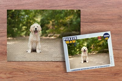 Puzzel Labrador Retriever puppy zit op een bospad - Legpuzzel - Puzzel 1000 stukjes volwassenen