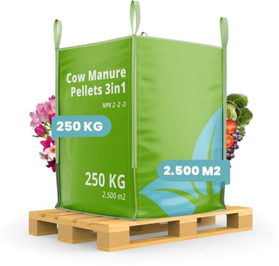Koemestkorrels 3in1 (Bigbag 250kg, 2500m2) - Allround Organische Meststof - Koemest - Mestkorrels - Bodemverbeteraar - Gedroogde Koemestkorrels - Direct opneembare voeding - Lavameel Toevoeging - Langdurige Werking - Organifer