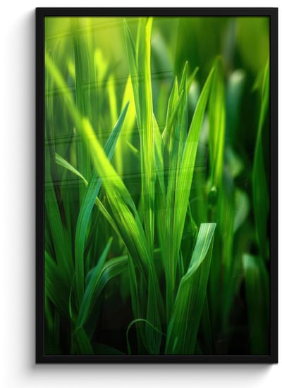 Poster in lijst - Fotolijst 60x90 cm - Posters - Grassprieten - Lichtinval - Groen - Posterlijst zwart - Decoratie - Wanddecoratie woonkamer - Muurdecoratie slaapkamer