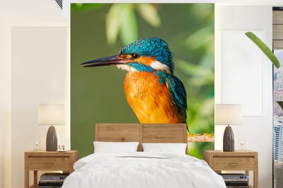Behang - Fotobehang Vogel - IJsvogel - Tak - Bladeren - Mos - Breedte 195 cm x hoogte 260 cm