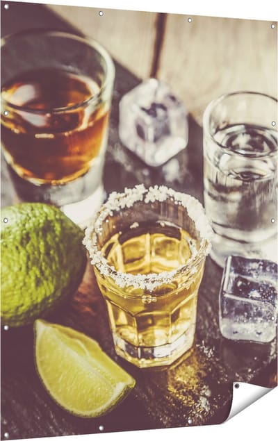 Gards Tuinposter Alcoholische Drankjes - Drank - 120x160 cm - Tuindoek - Tuindecoratie - Wanddecoratie buiten - Tuinschilderij
