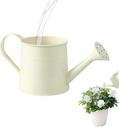 Gietkan IJzer - Metalen Gieter - Planten Water Geven - Functionele Decoratie - 1 Liter - Beige