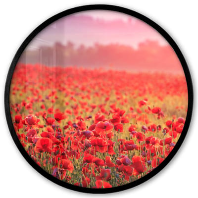 Poster in lijst Rond - Fotolijst 40x40 cm - Posters - Bloemen - Klaprozen - Rood - Bloemenveld - Ronde posterlijst zwart - Decoratie - Wanddecoratie woonkamer - Muurdecoratie slaapkamer