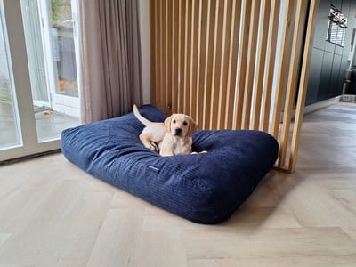 Dog's Companion Hondenkussen / Hondenbed - XS - 55 x 45 cm - Donkerblauw Double Ribcord