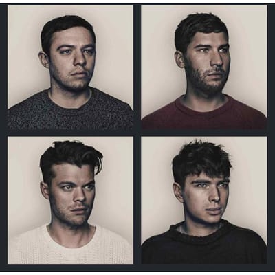 CD EVERYTHING EVERYTHING - Arc 88725473752 RCA Victor 2013 Europa Rock Gebruikt gray