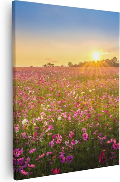 Artaza Canvas Schilderij Cosmea Bloemenveld - 40x50 cm - Wanddecoratie Bloemen - Muurdecoratie Landschap - Kamer Accessoires