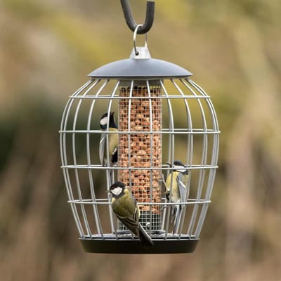CJ Wildlife Pindasilo met Beschermkooi voor Vogels - Aura - Voedersilo voor Tuinvogels - Vogelvoedersilo voor Kleine Vogels - Hangend Vogelvoederhuisje - Vogelvoer Silo - Zwart