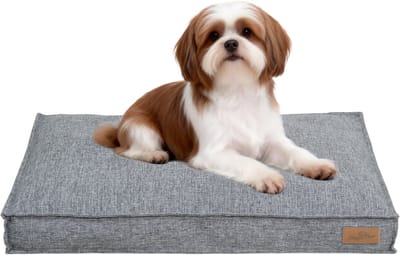 BingoPaw Modern Hondenkussen M - 75 x 50.5 x 10 cm - Orthopedisch Hondenbed - Afneembare en Wasbare Hoes - Waterafstotend & Antislip - Grijs