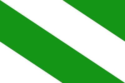 Vlag Evere 150x225cm