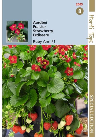 Hortitops zaden - Aardbeien Hangaardbei Ruby Ann F1 BV - Ca. 7 zaden