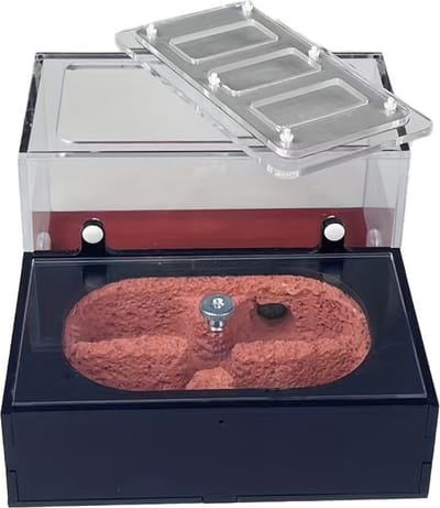 Bovista Mierenboerderij - Mierenhotel - Mierenkolonie - Antfarm - Mieren Aquarium - Mierenhuis - Voor Mieren - Broedbox - Rood