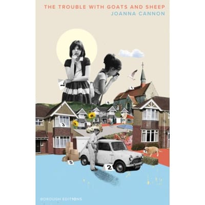 The Trouble With Goats And Sheep - Joanna Cannon