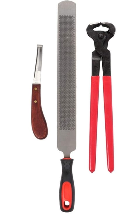 Dailygoods- Hoef Trim Tool Professioneel - Hoefsnijder - Hoefmes - Hoefijzervijl - Handvat - Efficiënte raspzijde - Hoefgereedschap