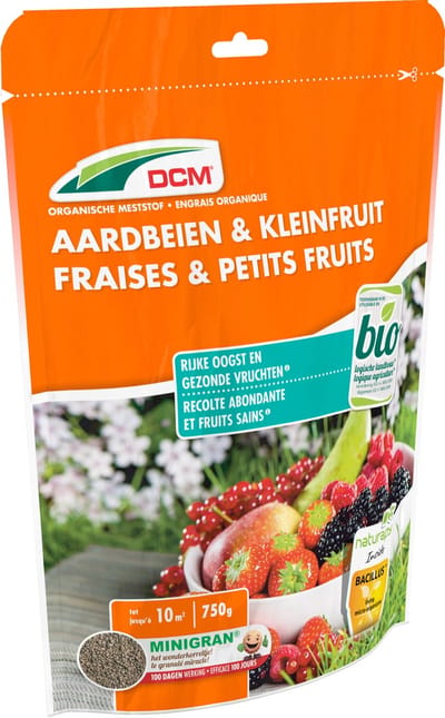 DCM AARDBEIEN/KLEINFRUIT 0,75KG