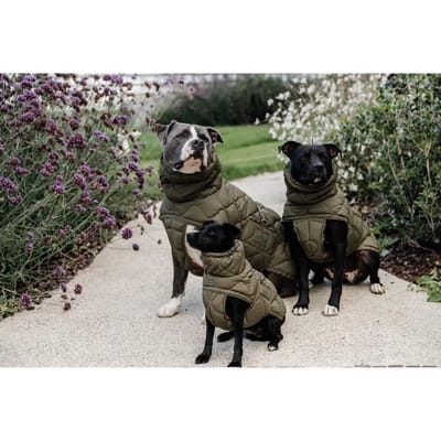 Kentucky Dogwear - Hondenjas winter Pina dannengroen 160g S 32-38cm