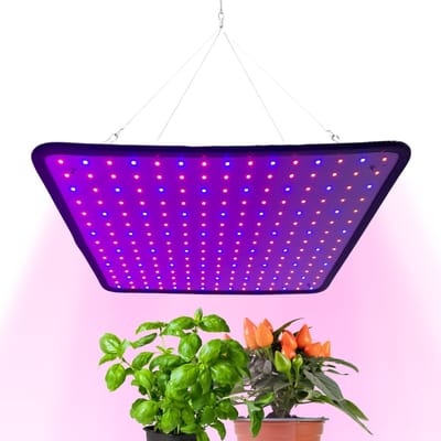 a sunny day LED groeilamp - grow light - kweeklamp - versnelt groei en ontwikkeling - groeilamp rood blauw - 45 Watt - 30 x 30 cm - 225 LEDs
