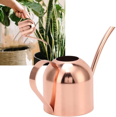 Gieter RVS - Watering Can - Planten Water Geven - Duurzaam Metaal - 21.5x9x12.5cm - Goudkleurig