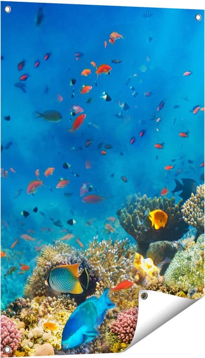 Gards Tuinposter Onderwater Vissen met Koraal in de Zee - 60x90 cm - Tuindoek - Tuindecoratie - Wanddecoratie buiten - Tuinschilderij