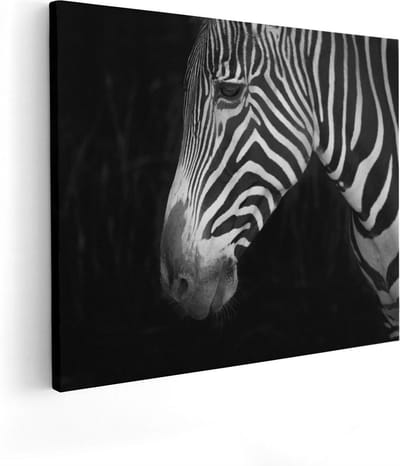 Artaza Canvas Schilderij Zebra Close-Up - 50x40 cm - Wanddecoratie Dieren - Muurdecoratie Dierenkop - Kamer Accessoires