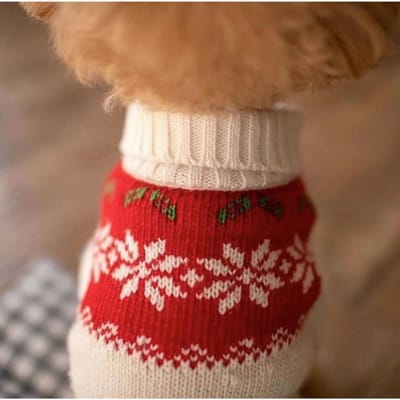 Hond Herfst Winter Kerst Eland Huisdier Trui Kat Twee Benen Gebreid Nieuwjaar Vest Hondentrui Designer Hondenkleding XXL