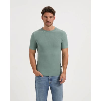 Saint Steve Polo 210157