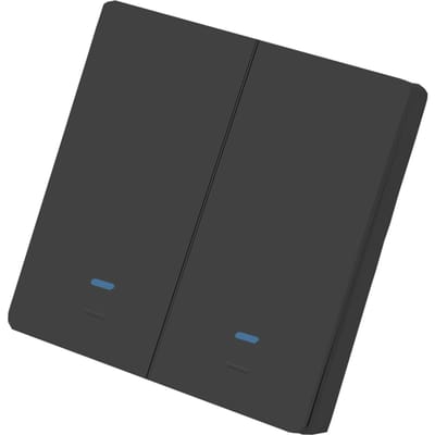 Interrupteur intelligent Wi-Fi, bouton-poussoir, commande vocale, télécommande, Compatible avec commande tactile 2 Gang noir