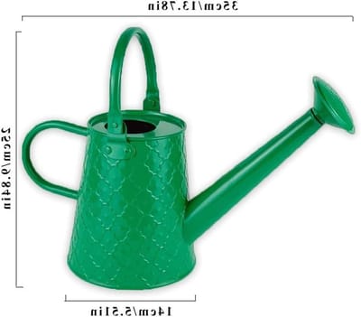 Tuingieter IJzer - Waterkan Planten - Planten Water Geven - Lange Tuit - 1.6L - Gegalvaniseerd