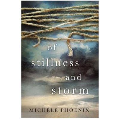 Of Stillness And Storm - Michele Phoenix