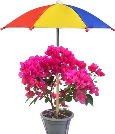 Plantenparaplu - Tuinparasol Beschermhoes - Bescherming Buitenplanten - UV-beschermend Doek - 35x27cm - Zwart