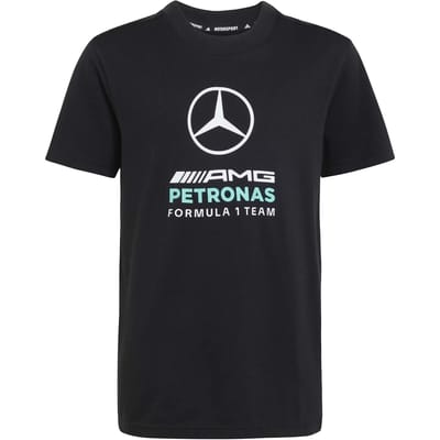Adidas Performance Mercedes - Amg Petronas Formula 1 Team Dna Graphic T-Shirt - Kinderen - Zwart