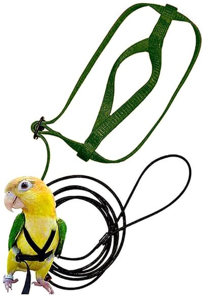 Verstelbaar vogeltuigje en riem - Met riem - Trainingsbenodigdheden - Voor geelnek amazone papegaaien, roze kaketoes, kleine tot middelgrote papegaaien - Geschikt voor vogels met een borstomtrek tot 62 cm/24,43 inch - Groen - Maat M