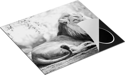 Chefcare Inductie Beschermer Leeuw - Zwart Wit - 60x50 cm - Afdekplaat Inductie - Kookplaat Beschermer - Inductie Mat