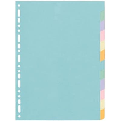 Exacompta Tabbladen gerecycleerd karton 170g - 12 tabs - A4 - Geassorteerd - 1612E