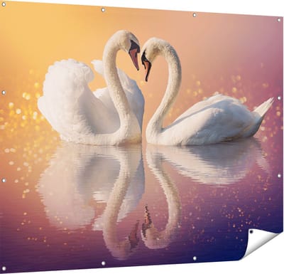 Gards Tuinposter Zwanen Koppel in een Hart Vorm - 150x120 cm - Tuindoek - Tuindecoratie - Wanddecoratie buiten - Tuinschilderij