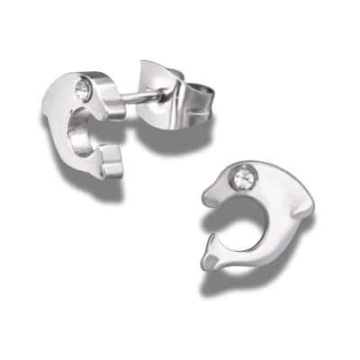 Oorbellen - oorstekers - dolfijn - zilverkleurig - steel - edel staal - dieren - animals - dolphin - met zirkonia oogje - hypoallergeen