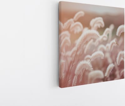 Saammp Canvas Schilderij - Roze fluffy Bloemen - Abstract - 20x20 - Foto op canvas - Wanddecoratie - Muurdecoratie Woonkamer - Kantoor Decoratie