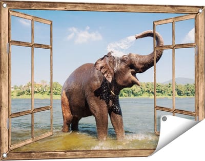 Gards Tuinposter Doorkijk Vrolijke Olifant in het Water - 90x60 cm - Tuindoek - Tuindecoratie - Wanddecoratie buiten - Tuinschilderij