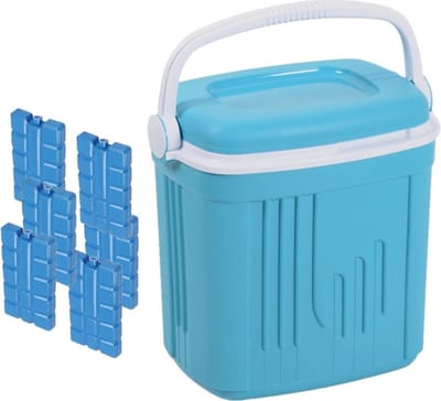 Voordelige normale blauwe koelbox 20 liter - 39 x 28 x 38 cm - met 6x normale koelelementen van 15 x 8 x 2 cm