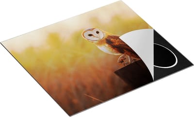Chefcare Inductie Beschermer Kerkuil op een Boomstronk - 60x50 cm - Afdekplaat Inductie - Kookplaat Beschermer - Inductie Mat