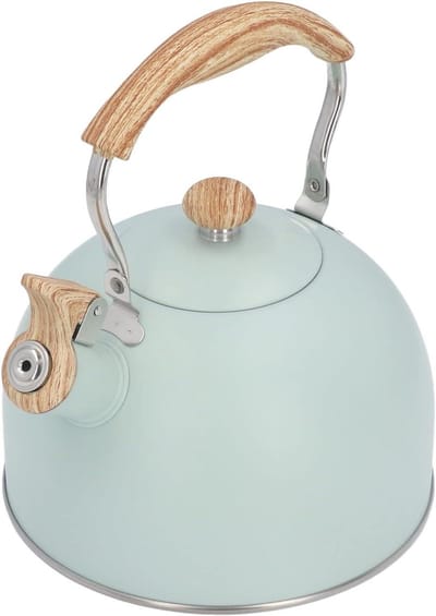 Fluitende Waterkoker - Theeketel RVS - Water Koken - Grote Capaciteit - 25 Liter - Groen