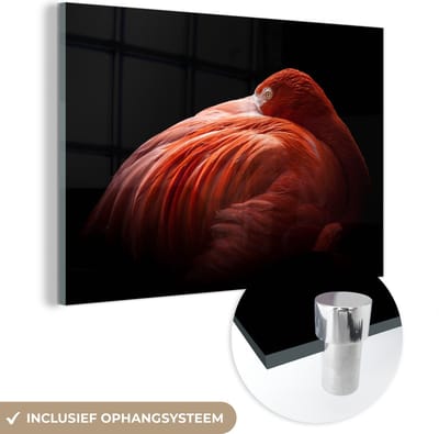 MuchoWow® Glasschilderij 60x40 cm - Schilderij acrylglas - Flamingo - Veren - Roze - Foto op glas - Schilderijen
