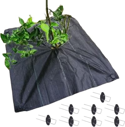Bodemdoek Graswerend - Wortelbedekking Tuin - Erosiebestrijding Tuin - Inclusief Grondpinnen - 120x120cm - Zwart