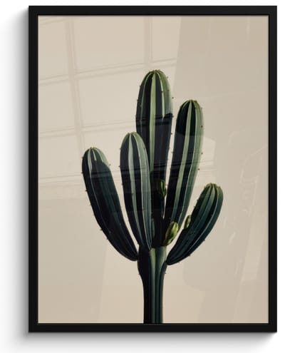Poster in lijst - Fotolijst 60x80 cm - Posters - Cactus - Subtiel - Groen - Posterlijst zwart - Decoratie - Wanddecoratie woonkamer - Muurdecoratie slaapkamer