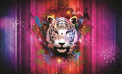 Tiger Abstract Photo Wallcovering