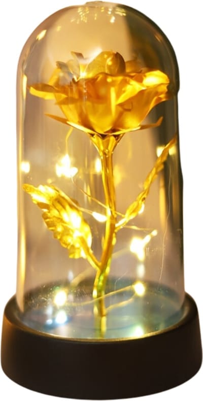 Bovista Roos In Glas - In Stolp - Galaxy - Roos In Glazen Stolp - Roos In Doos - Onsterfelijke Roos In Glas - Valentijn Cadeautje Voor Haar - Valentijn Cadeautje Voor Hem - Goud
