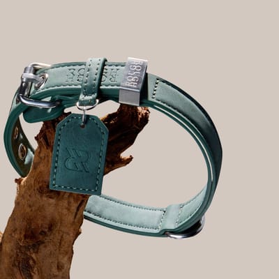 Rough Rough Leren Hondenhalsband - Sterke Halsband voor Grote Hond - Leer (vegan) - Bos Groen maat L