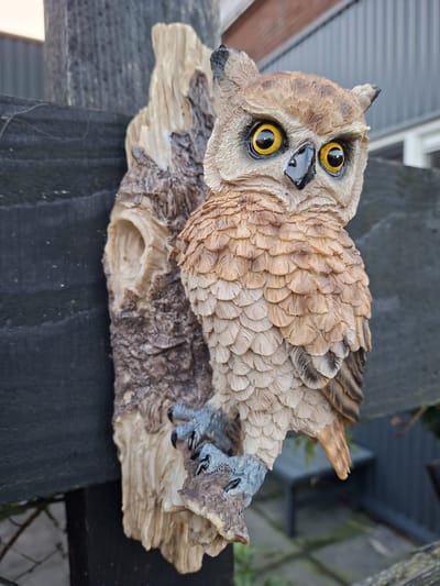Uil op stam beeld Wanddecoratie - Gedetailleerd - Losse beelden - Polyresin - Polystone - Wonen - Decoratie - Woondecoratie - Merchandise - Mancave