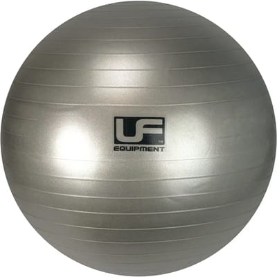 Urban Fitness 500kg Zware Weerstand Zwitserse Gymbal Zilver - 75cm