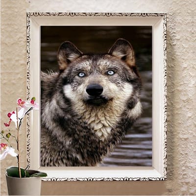 Diy Pauw Borduren Ronde Boor Diamant Schilderen Kruissteek Verticale Foto Steentjes Home Decor Full Square 20X30CM